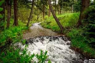 18719 Hwy 12, Cuchara, CO 81055 - Photo 45