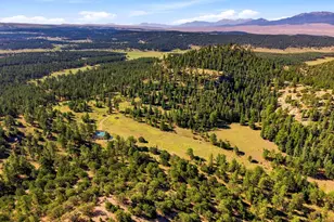 2323 Cr 323, Westcliffe, CO 81252 - Photo 25