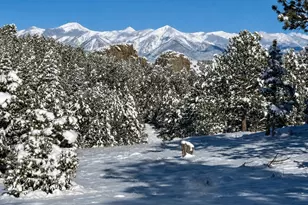 2323 Cr 323, Westcliffe, CO 81252 - Photo 31