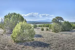 983 Co Rd 340, Walsenburg, CO 81089 - Photo 39