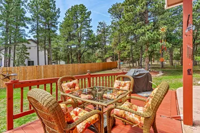 8172 Birch Dr, Rye, CO 81069 - Photo 45