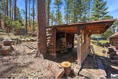 8660 Pine Dr, Beulah, CO 81023 - Photo 37