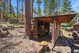 8660 Pine Dr, Beulah, CO 81023 - Photo 37