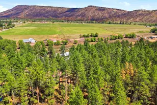 8660 Pine Dr, Beulah, CO 81023 - Photo 59