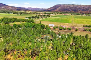 8660 Pine Dr, Beulah, CO 81023 - Photo 61