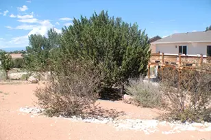 939 S Cellini Pl, Pueblo West, CO 81007 - Photo 47