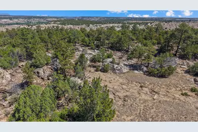 Tbd Pickney Rd, Rye, CO 81069 - Photo 15