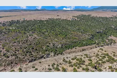 Tbd Pickney Rd, Rye, CO 81069 - Photo 7