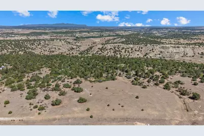 Tbd Pickney Rd, Rye, CO 81069 - Photo 3