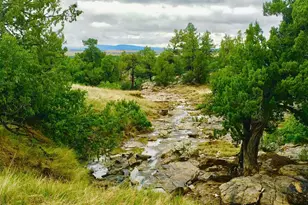 Tbd Pickney Rd, Rye, CO 81069 - Photo 1