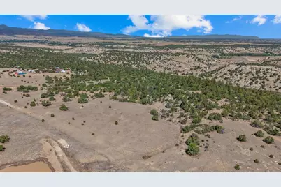 Tbd Pickney Rd, Rye, CO 81069 - Photo 5