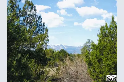 Tbd Pickney Rd, Rye, CO 81069 - Photo 21