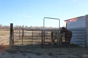 49300/49400 E State Hwy 96, Avondale, CO 81022 - Photo 17