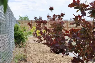 930 N Matt Dr, Pueblo West, CO 81007 - Photo 37