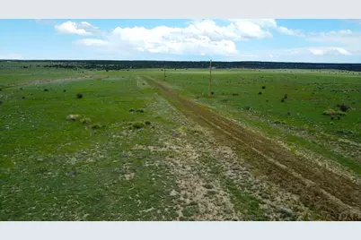 Lot 110 Locomotive Ct, Rye, CO 81069 - Photo 11