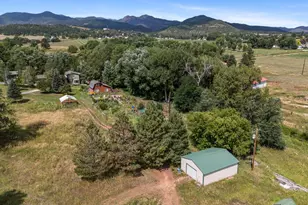8695 Pine Dr, Beulah, CO 81023 - Photo 95