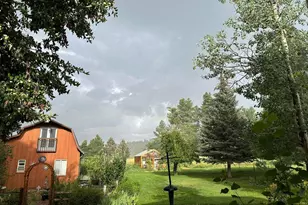 8695 Pine Dr, Beulah, CO 81023 - Photo 109