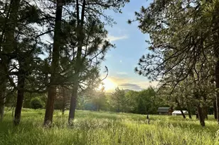 8695 Pine Dr, Beulah, CO 81023 - Photo 137