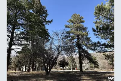 8695 Pine Dr, Beulah, CO 81023 - Photo 131