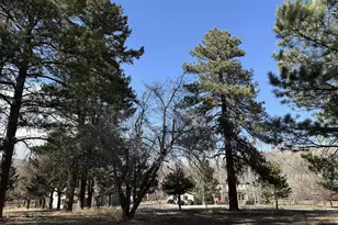 8695 Pine Dr, Beulah, CO 81023 - Photo 131
