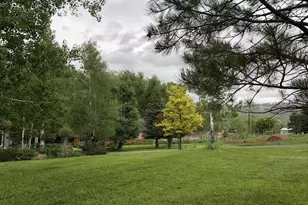 8695 Pine Dr, Beulah, CO 81023 - Photo 133