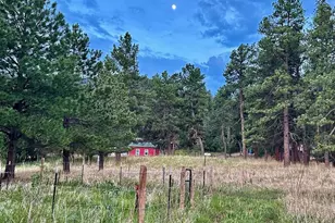 8695 Pine Dr, Beulah, CO 81023 - Photo 135