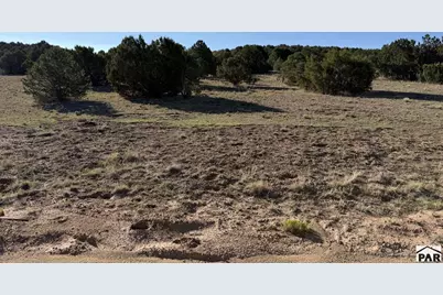 Lot 141 River Ridge Ranch, Walsenburg, CO 81089 - Photo 5