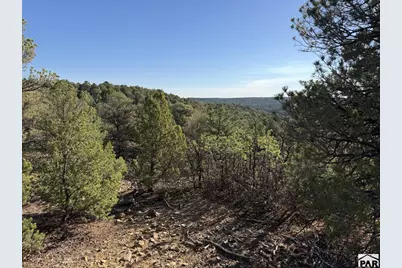 Lot 141 River Ridge Ranch, Walsenburg, CO 81089 - Photo 11