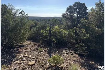 Lot 141 River Ridge Ranch, Walsenburg, CO 81089 - Photo 13