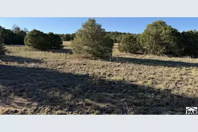 Lot 141 River Ridge Ranch, Walsenburg, CO 81089 - Photo 21