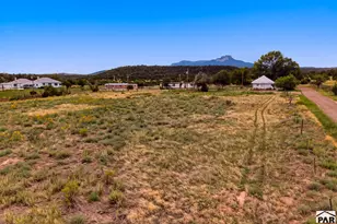 13469 Prosser Rd, Trinidad, CO 81082 - Photo 51