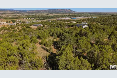 13469 Prosser Rd, Trinidad, CO 81082 - Photo 57