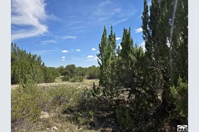 Lot 131 Blue Spruce Dr, Colorado City, CO 81019 - Photo 3