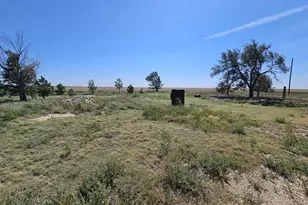 35226 Co Rd T, Walsh, CO 81090 - Photo 35
