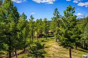 19084 Cr 31 9, Weston, CO 81091 - Photo 53