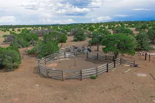 1920 Co Rd 510, Walsenburg, CO 81089 - Photo 21