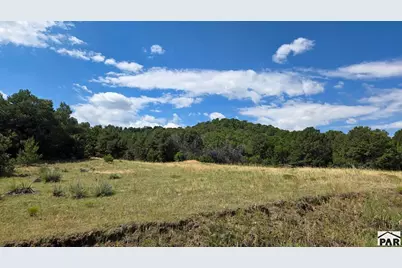7 La Veta Pines Ranches, Walsenburg, CO 81089 - Photo 5
