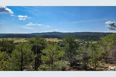 7 La Veta Pines Ranches, Walsenburg, CO 81089 - Photo 11