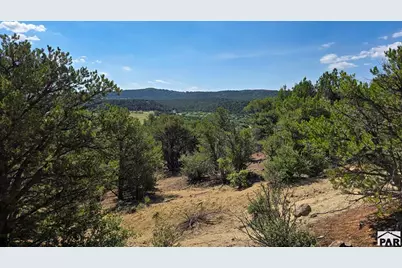 7 La Veta Pines Ranches, Walsenburg, CO 81089 - Photo 13