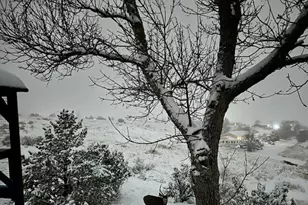 809 S Greenway Ave, Pueblo West, CO 81007 - Photo 57