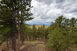 741 Junkins Loop, Westcliffe, CO 81252 - Photo 5