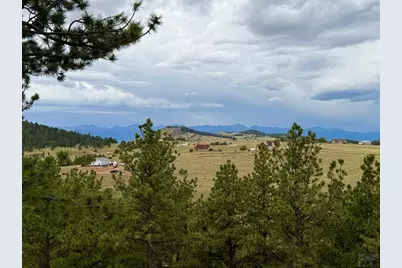 741 Junkins Loop, Westcliffe, CO 81252 - Photo 75