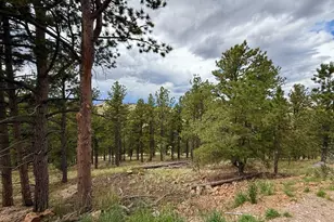 741 Junkins Loop, Westcliffe, CO 81252 - Photo 7
