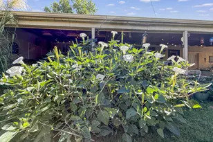 2129 Rosewood Ln, Pueblo, CO 81005 - Photo 33
