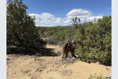 Lt 81A &amp; 101 Twin Lakes Ranches, Walsenburg, CO 81089 - Photo 3