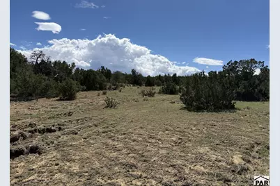 Lt 81A &amp; 101 Twin Lakes Ranches, Walsenburg, CO 81089 - Photo 23