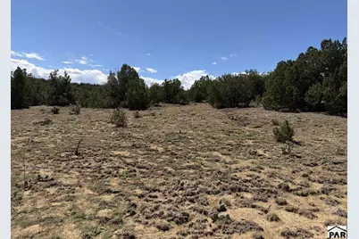 Lt 81A &amp; 101 Twin Lakes Ranches, Walsenburg, CO 81089 - Photo 11
