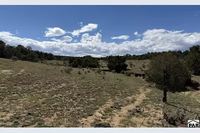 Lt 81A &amp; 101 Twin Lakes Ranches, Walsenburg, CO 81089 - Photo 1
