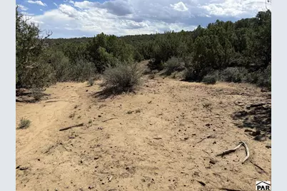 Lt 81A &amp; 101 Twin Lakes Ranches, Walsenburg, CO 81089 - Photo 17