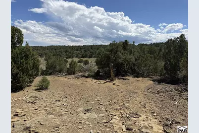 Lt 81A &amp; 101 Twin Lakes Ranches, Walsenburg, CO 81089 - Photo 13